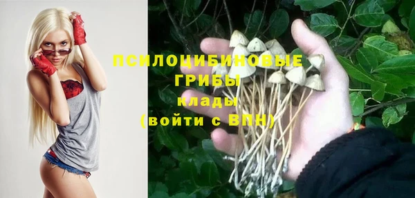 бошки Алзамай